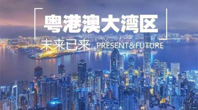 探索未来的澳门与香港，关于2025年全年免费资料大全的全面解读,2025年新澳门和香港全年免费资料大全,全面释义、解释与落.