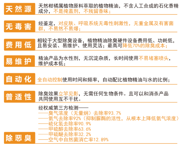 关于新澳天天正版资料大全的全面解答与落实策略,2025新澳天天正版资料大全,全面解答解释落实_