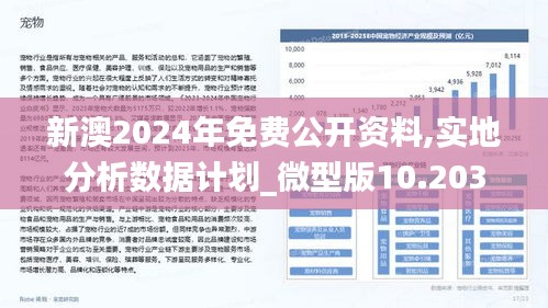 新澳2025年最新版资料前沿解答解释落实_N5906.66.99深度解析报告,新澳2025年最新版资料,前沿解答解释落实_n5906.66.99