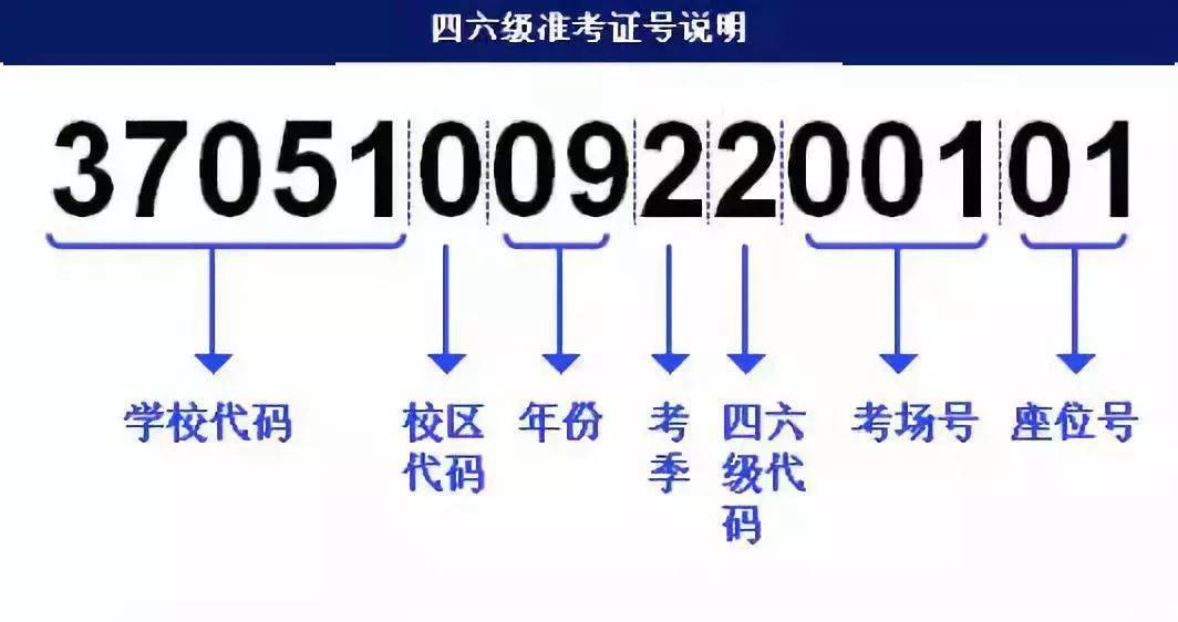 关于澳门管家婆三肖预测与落实策略，构建解答解释ecr08.15.86方案至2025年,2025年澳门管家婆三肖100%,构建解答解释落实_ecr08.15.86